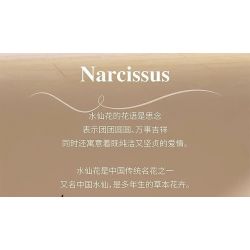 QIZHILE 92038 non  HOA THUỶ TIÊN VÀNG bộ đồ chơi xếp lắp ráp ghép mô hình Flowers NARCISSUS 800 khối QIZHILE 92038 non  HOA THUỶ TIÊN VÀNG bộ đồ chơi xếp lắp ráp ghép mô hình Flowers NARCISSUS 800 khối