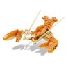 Kazi KY80045 80045 non  SEA WORLD 6 MÔ HÌNH CÁ MẬP ĐẦU BÚA CUA HOÀNG ĐẾ BẠCH TUỘC KHỔNG LỒ TÔM BỌ NGỰA ĐUÔI CHIM ĐỎ MEXICO ẨN SĨ bộ đồ chơi xếp lắp ráp ghép mô hình Creator OCEAN Sáng Tạo 1041 khối