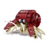 Kazi KY80045 80045 non  SEA WORLD 6 MÔ HÌNH CÁ MẬP ĐẦU BÚA CUA HOÀNG ĐẾ BẠCH TUỘC KHỔNG LỒ TÔM BỌ NGỰA ĐUÔI CHIM ĐỎ MEXICO ẨN SĨ bộ đồ chơi xếp lắp ráp ghép mô hình Creator OCEAN Sáng Tạo 1041 khối