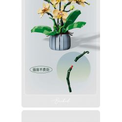 TOP TOY TC1101 1101 non  PHONG LAN TAO NHÃ tỷ lệ 1:1 bộ đồ chơi xếp lắp ráp ghép mô hình Creator Sáng Tạo TOP TOY TC1101 1101 non  PHONG LAN TAO NHÃ tỷ lệ 1:1 bộ đồ chơi xếp lắp ráp ghép mô hình Creator Sáng Tạo