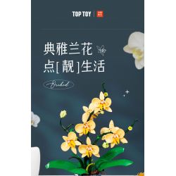 TOP TOY TC1101 1101 non  PHONG LAN TAO NHÃ tỷ lệ 1:1 bộ đồ chơi xếp lắp ráp ghép mô hình Creator Sáng Tạo TOP TOY TC1101 1101 non  PHONG LAN TAO NHÃ tỷ lệ 1:1 bộ đồ chơi xếp lắp ráp ghép mô hình Creator Sáng Tạo