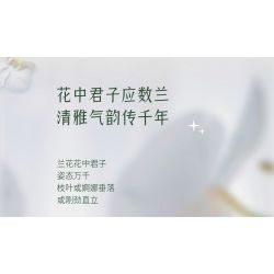 TOP TOY TC1101 1101 non  PHONG LAN TAO NHÃ tỷ lệ 1:1 bộ đồ chơi xếp lắp ráp ghép mô hình Creator Sáng Tạo TOP TOY TC1101 1101 non  PHONG LAN TAO NHÃ tỷ lệ 1:1 bộ đồ chơi xếp lắp ráp ghép mô hình Creator Sáng Tạo
