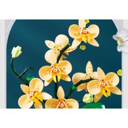 TOP TOY TC1101 1101 non  PHONG LAN TAO NHÃ tỷ lệ 1:1 bộ đồ chơi xếp lắp ráp ghép mô hình Creator Sáng Tạo TOP TOY TC1101 1101 non  PHONG LAN TAO NHÃ tỷ lệ 1:1 bộ đồ chơi xếp lắp ráp ghép mô hình Creator Sáng Tạo