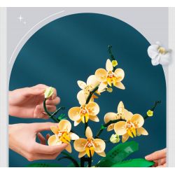 TOP TOY TC1101 1101 non  PHONG LAN TAO NHÃ tỷ lệ 1:1 bộ đồ chơi xếp lắp ráp ghép mô hình Creator Sáng Tạo TOP TOY TC1101 1101 non  PHONG LAN TAO NHÃ tỷ lệ 1:1 bộ đồ chơi xếp lắp ráp ghép mô hình Creator Sáng Tạo