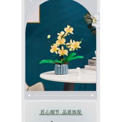 TOP TOY TC1101 1101 non  PHONG LAN TAO NHÃ tỷ lệ 1:1 bộ đồ chơi xếp lắp ráp ghép mô hình Creator Sáng Tạo TOP TOY TC1101 1101 non  PHONG LAN TAO NHÃ tỷ lệ 1:1 bộ đồ chơi xếp lắp ráp ghép mô hình Creator Sáng Tạo