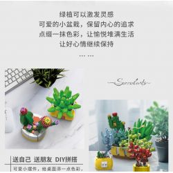 XINGBAO XB-26113 26113 XB26113 non  BOUTIQUE CHẬU CÂY TRANG TRÍ MỌNG NƯỚC 12 LOẠI bộ đồ chơi xếp lắp ráp ghép mô hình Creator Sáng Tạo 1213 khối