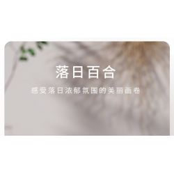 TAKUKI T6003 6003 non  TIỆC SÂN VƯỜN HOÀNG HÔN LILY bộ đồ chơi xếp lắp ráp ghép mô hình 319 khối