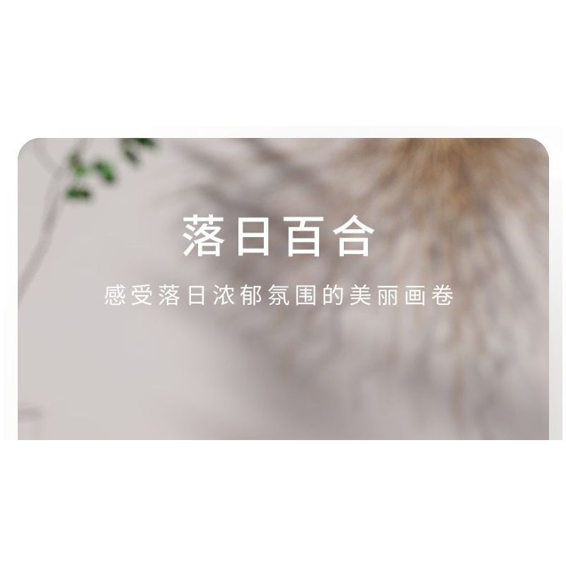 TAKUKI T6003 6003 non  TIỆC SÂN VƯỜN HOÀNG HÔN LILY bộ đồ chơi xếp lắp ráp ghép mô hình 319 khối