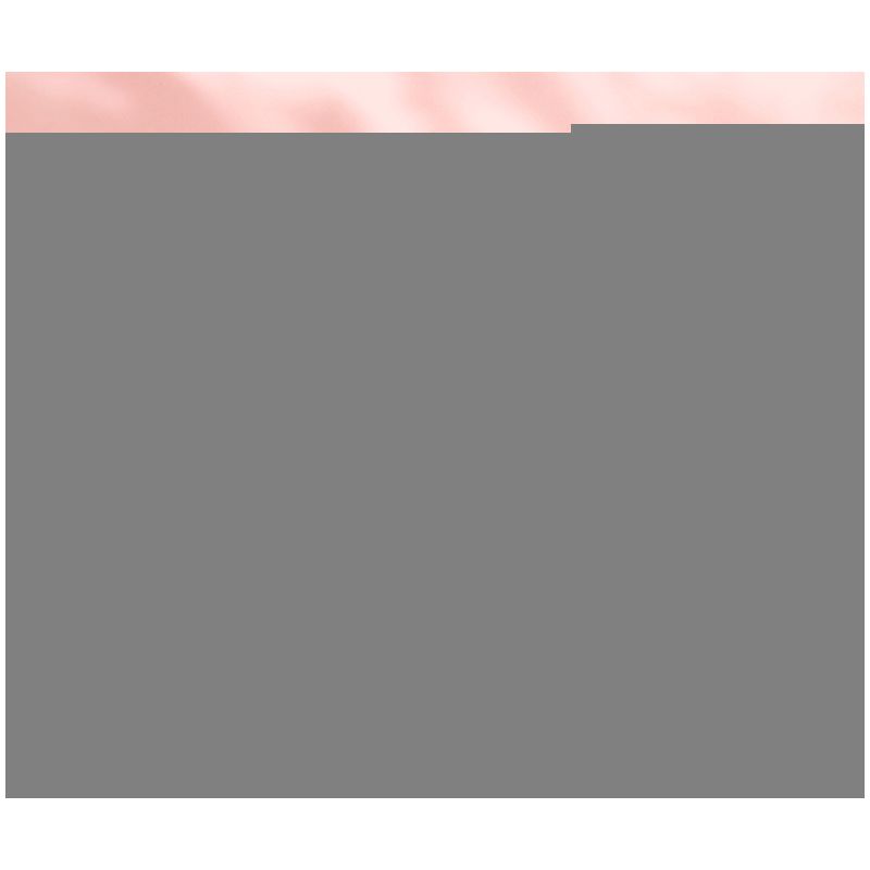 TOP TOY 60027 non  HOA ANH ĐÀO bộ đồ chơi xếp lắp ráp ghép mô hình City CHERRY BLOSSOMS Thành Phố 1019 khối