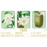 FAIR 9104 non  BIỂU MÔ bộ đồ chơi xếp lắp ráp ghép mô hình Flowers EPIPHYLLUM Hoa 548 khối