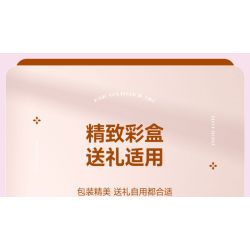 SEMBO 611050 611081 non  HỘP NHẠC HOA NGÔN NGỮ TRÀ HUA YAN bộ đồ chơi xếp lắp ráp ghép mô hình Creator Sáng Tạo 575 khối