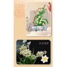 PEA LEAGUE 77123 non  NARCISSUS HƯƠNG THƠM THANH TAO bộ đồ chơi xếp lắp ráp ghép mô hình Flowers MARCISSUS Hoa 688 khối