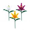 BALODY 20081 non  HOA THUỶ TIÊN VÀNG bộ đồ chơi xếp lắp ráp ghép mô hình Flowers 212 khối