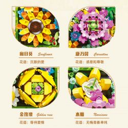 JIESTAR JJ9027 9027 non  ÁNH ĐÈN BỒNG BỀNH ĐẦU HÈ bộ đồ chơi xếp lắp ráp ghép mô hình Arts & Crafts EARLY SUMMER 492 khối