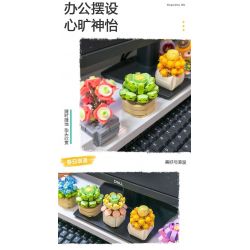 FEMIBOX S2201 2201 non  CHỮA LÀNH MỌNG NƯỚC 12 LOẠI bộ đồ chơi xếp lắp ráp ghép mô hình Flowers PLANTS SUCCULENT Hoa 1095 khối