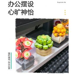 FEMIBOX S2201 2201 non  CHỮA LÀNH MỌNG NƯỚC 12 LOẠI bộ đồ chơi xếp lắp ráp ghép mô hình Flowers PLANTS SUCCULENT Hoa 1095 khối