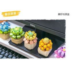 FEMIBOX S2201 2201 non  CHỮA LÀNH MỌNG NƯỚC 12 LOẠI bộ đồ chơi xếp lắp ráp ghép mô hình Flowers PLANTS SUCCULENT Hoa 1095 khối