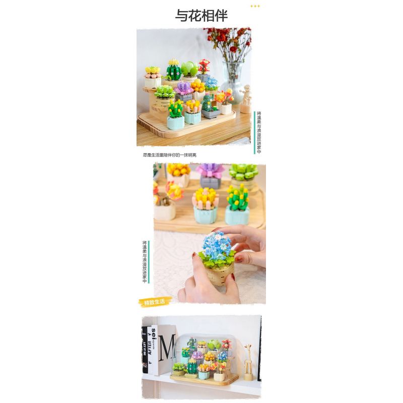 FEMIBOX S2201 2201 non  CHỮA LÀNH MỌNG NƯỚC 12 LOẠI bộ đồ chơi xếp lắp ráp ghép mô hình Flowers PLANTS SUCCULENT Hoa 1095 khối