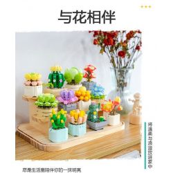 FEMIBOX S2201 2201 non  CHỮA LÀNH MỌNG NƯỚC 12 LOẠI bộ đồ chơi xếp lắp ráp ghép mô hình Flowers PLANTS SUCCULENT Hoa 1095 khối