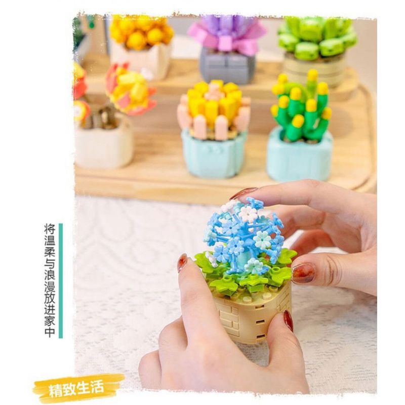 FEMIBOX S2201 2201 non  CHỮA LÀNH MỌNG NƯỚC 12 LOẠI bộ đồ chơi xếp lắp ráp ghép mô hình Flowers PLANTS SUCCULENT Hoa 1095 khối