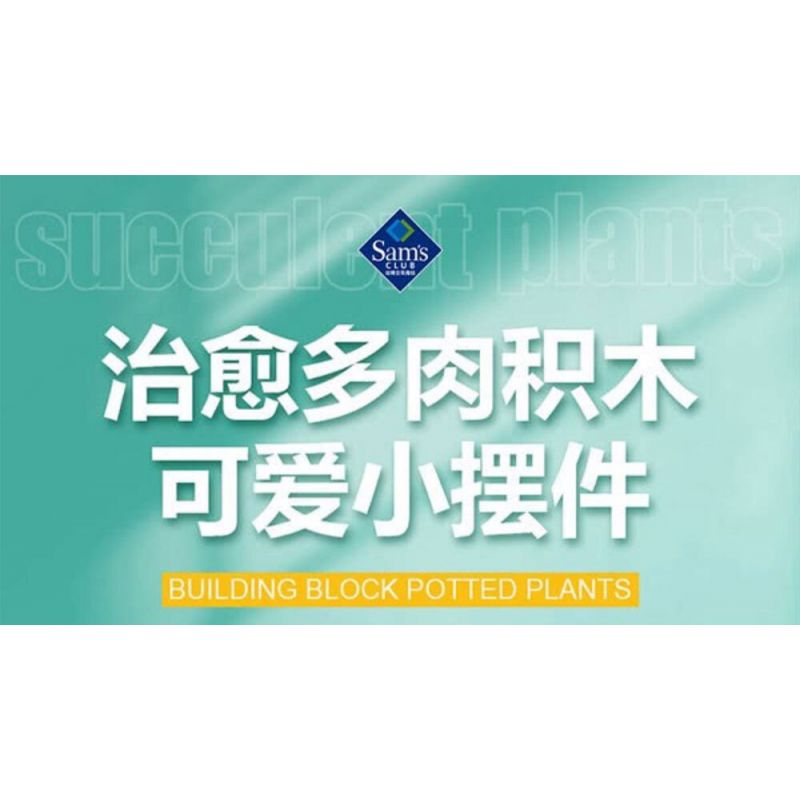 FEMIBOX S2201 2201 non  CHỮA LÀNH MỌNG NƯỚC 12 LOẠI bộ đồ chơi xếp lắp ráp ghép mô hình Flowers PLANTS SUCCULENT Hoa 1095 khối