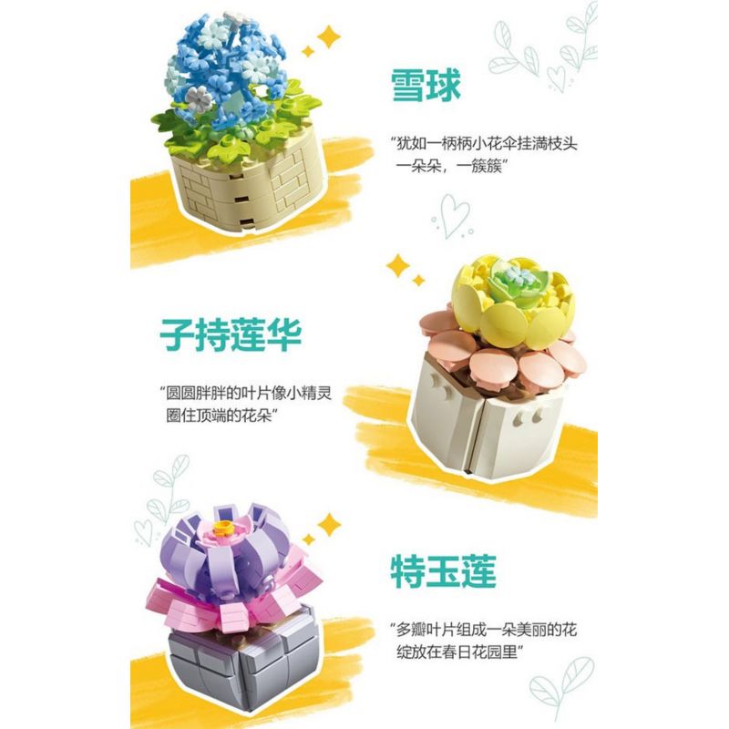 FEMIBOX S2201 2201 non  CHỮA LÀNH MỌNG NƯỚC 12 LOẠI bộ đồ chơi xếp lắp ráp ghép mô hình Flowers PLANTS SUCCULENT Hoa 1095 khối