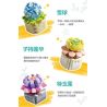 FEMIBOX S2201 2201 non  CHỮA LÀNH MỌNG NƯỚC 12 LOẠI bộ đồ chơi xếp lắp ráp ghép mô hình Flowers PLANTS SUCCULENT Hoa 1095 khối