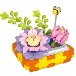 ZUANMA 097A 097B 097C 097D non  MỌNG NƯỚC bộ đồ chơi xếp lắp ráp ghép mô hình Flowers SUCCULENT Hoa 1105 khối