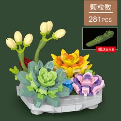 ZUANMA 097A 097B 097C 097D non  MỌNG NƯỚC bộ đồ chơi xếp lắp ráp ghép mô hình Flowers SUCCULENT Hoa 1105 khối