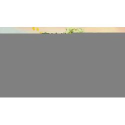 INBRIXX 881101 non  QUÁN CÀ PHÊ CHỮA BỆNH TEDDY bộ đồ chơi xếp lắp ráp ghép mô hình 1381 khối