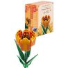 MouldKing 24013 Mould King 24013 non  HOA TULIP bộ đồ chơi xếp lắp ráp ghép mô hình Flowers FLOWER WORLD TULIP 132 khối
