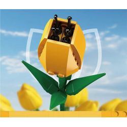 MouldKing 24012 Mould King 24012 non  HOA TULIP bộ đồ chơi xếp lắp ráp ghép mô hình Flowers FLOWER WORLD TULIP 83 khối