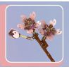 MouldKing 24011 Mould King 24011 non  HOA ANH ĐÀO bộ đồ chơi xếp lắp ráp ghép mô hình Flowers FLOWER WORLD CHERRY BLOSSOMS 108 khối