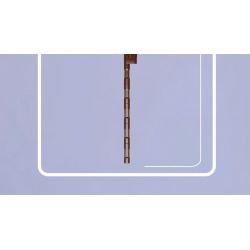 MouldKing 24011 Mould King 24011 non  HOA ANH ĐÀO bộ đồ chơi xếp lắp ráp ghép mô hình Flowers FLOWER WORLD CHERRY BLOSSOMS 108 khối