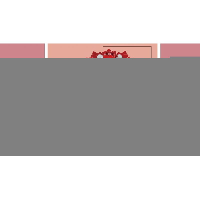 MouldKing 24010 Mould King 24010 non  HOA CẨM CHƯỚNG bộ đồ chơi xếp lắp ráp ghép mô hình Flowers FLOWER WORLD CARNATION 116 khối