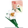 MouldKing 24008 Mould King 24008 non  HOA THUỶ TIÊN VÀNG bộ đồ chơi xếp lắp ráp ghép mô hình Flowers FLOWER WORLD NARCISSUS 122 khối