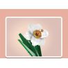 MouldKing 24008 Mould King 24008 non  HOA THUỶ TIÊN VÀNG bộ đồ chơi xếp lắp ráp ghép mô hình Flowers FLOWER WORLD NARCISSUS 122 khối