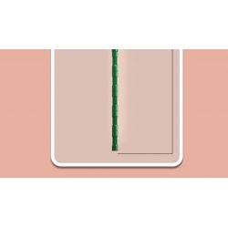 MouldKing 24008 Mould King 24008 non  HOA THUỶ TIÊN VÀNG bộ đồ chơi xếp lắp ráp ghép mô hình Flowers FLOWER WORLD NARCISSUS 122 khối