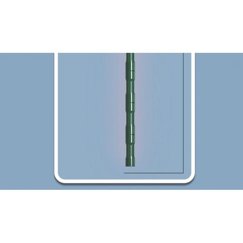 MouldKing 24007 Mould King 24007 non  HOA TRÀ bộ đồ chơi xếp lắp ráp ghép mô hình Flowers FLOWER WORLD CAMELLIA 127 khối