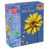MouldKing 24003 Mould King 24003 non  HOA ĐỒNG TIỀN bộ đồ chơi xếp lắp ráp ghép mô hình Flowers FLOWER WORLD BARBERTON DAISY 180 khối
