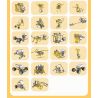 XK BC-83 non  CB9686 BỘ KHOA HỌC VÀ GIÁO DỤC 58 TRONG 1 bộ đồ chơi xếp lắp ráp ghép mô hình 420 khối