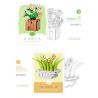 XIANG JUN 10975 non  SHOP HOA CÂY CẢNH 6 LOẠI CHẬU MỌNG NƯỚC THIÊN THẦN TUYẾT CÚC NGỌC BÍCH TIÊN LINGBO BƯỚM TÍM NỤ TẦM XUÂN SAN HÔ JI bộ đồ chơi xếp lắp ráp ghép mô hình Creator Sáng Tạo