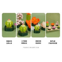 JAKI JK2728 2728 non  CÂY GỖ MỌNG NƯỚC 6 LOẠI VŨ ĐIỆU HOÀNG HÔN ĐÀO TRỨNG XƯƠNG RỒNG HỔ PHÁCH VÀNG MẪU ĐƠN TÍM bộ đồ chơi xếp lắp ráp ghép mô hình Flowers PLANTE Hoa