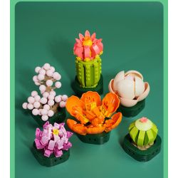 JAKI JK2728 2728 non  CÂY GỖ MỌNG NƯỚC 6 LOẠI VŨ ĐIỆU HOÀNG HÔN ĐÀO TRỨNG XƯƠNG RỒNG HỔ PHÁCH VÀNG MẪU ĐƠN TÍM bộ đồ chơi xếp lắp ráp ghép mô hình Flowers PLANTE Hoa