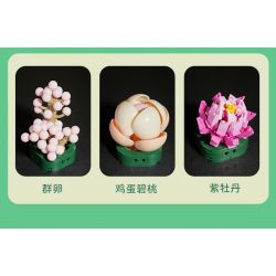 JAKI JK2728 2728 non  CÂY GỖ MỌNG NƯỚC 6 LOẠI VŨ ĐIỆU HOÀNG HÔN ĐÀO TRỨNG XƯƠNG RỒNG HỔ PHÁCH VÀNG MẪU ĐƠN TÍM bộ đồ chơi xếp lắp ráp ghép mô hình Flowers PLANTE Hoa