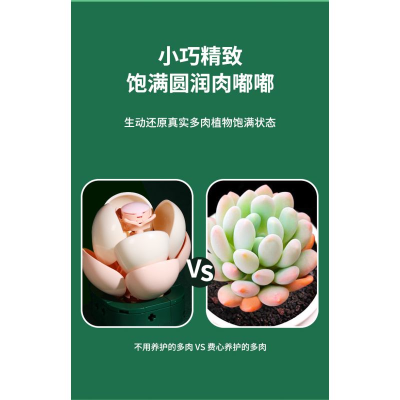 JAKI JK2728 2728 non  CÂY GỖ MỌNG NƯỚC 6 LOẠI VŨ ĐIỆU HOÀNG HÔN ĐÀO TRỨNG XƯƠNG RỒNG HỔ PHÁCH VÀNG MẪU ĐƠN TÍM bộ đồ chơi xếp lắp ráp ghép mô hình Flowers PLANTE Hoa