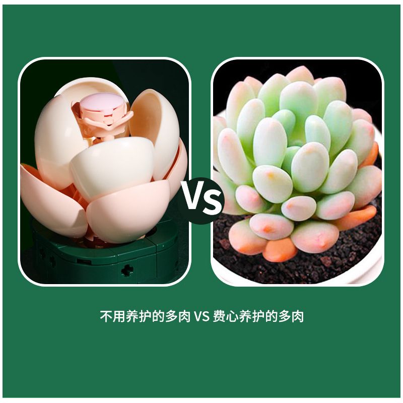 JAKI JK2728 2728 non  CÂY GỖ MỌNG NƯỚC 6 LOẠI VŨ ĐIỆU HOÀNG HÔN ĐÀO TRỨNG XƯƠNG RỒNG HỔ PHÁCH VÀNG MẪU ĐƠN TÍM bộ đồ chơi xếp lắp ráp ghép mô hình Flowers PLANTE Hoa