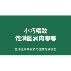 JAKI JK2728 2728 non  CÂY GỖ MỌNG NƯỚC 6 LOẠI VŨ ĐIỆU HOÀNG HÔN ĐÀO TRỨNG XƯƠNG RỒNG HỔ PHÁCH VÀNG MẪU ĐƠN TÍM bộ đồ chơi xếp lắp ráp ghép mô hình Flowers PLANTE Hoa