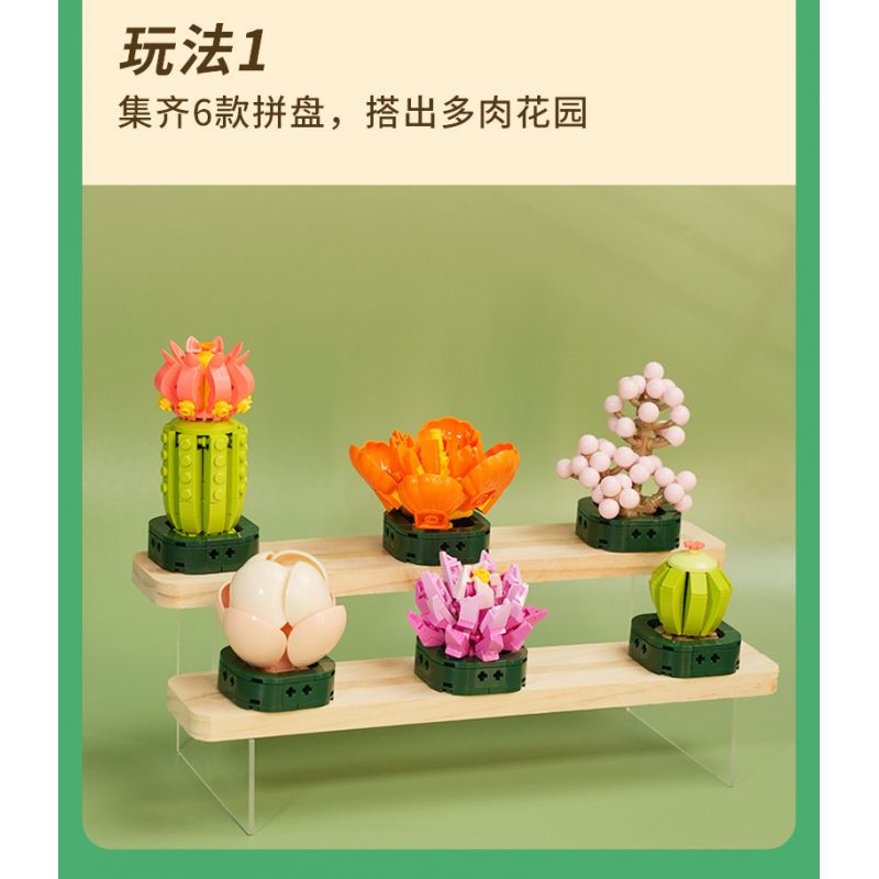 JAKI JK2728 2728 non  CÂY GỖ MỌNG NƯỚC 6 LOẠI VŨ ĐIỆU HOÀNG HÔN ĐÀO TRỨNG XƯƠNG RỒNG HỔ PHÁCH VÀNG MẪU ĐƠN TÍM bộ đồ chơi xếp lắp ráp ghép mô hình Flowers PLANTE Hoa