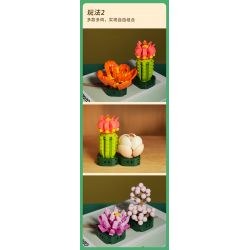 JAKI JK2728 2728 non  CÂY GỖ MỌNG NƯỚC 6 LOẠI VŨ ĐIỆU HOÀNG HÔN ĐÀO TRỨNG XƯƠNG RỒNG HỔ PHÁCH VÀNG MẪU ĐƠN TÍM bộ đồ chơi xếp lắp ráp ghép mô hình Flowers PLANTE Hoa